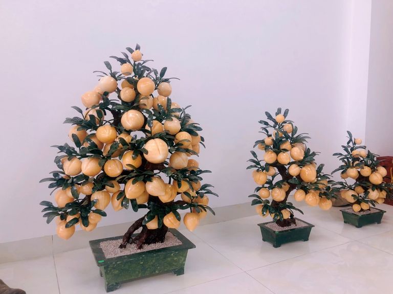 Cây đào tiên phong thủy có nhiều ý nghĩa đặc biệt với đời sống và sức khỏe
