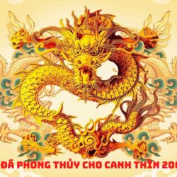 Sinh năm 2000 hợp đá phong thủy màu gì? 5 màu phúc đức đủ đầy