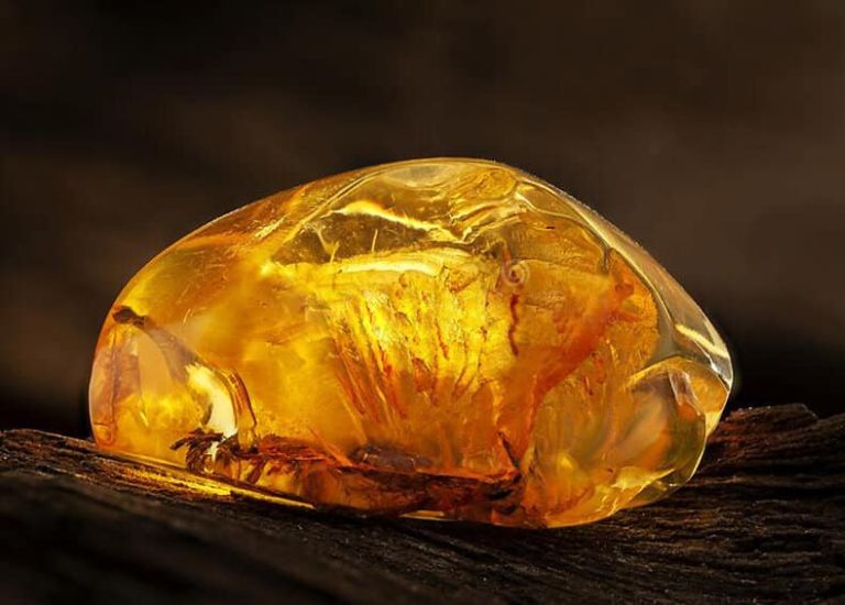Việc sở hữu viên đá hổ phách phong thủy giúp cho người tuổi Giáp Tuất gia tăng sự tự tin.