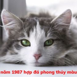 Sinh năm 1987 hợp đá phong thủy màu gì?