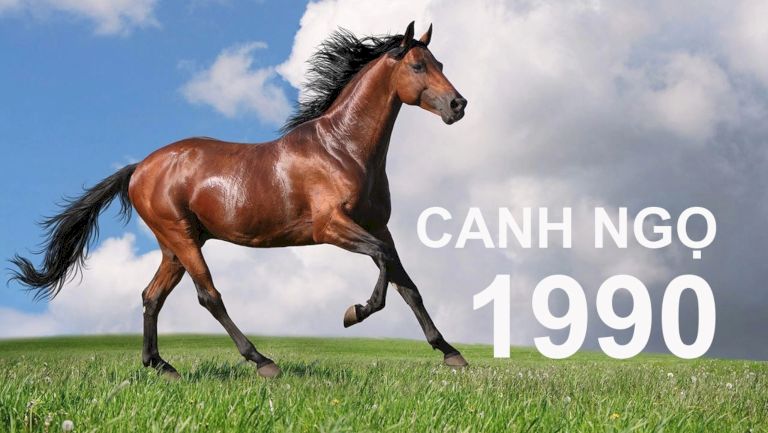 Sinh năm 1990 hợp đá phong thuỷ màu gì cải thiện vận khí